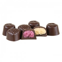 Bakeapple & Partridgeberry Chocolates 54g (1.9oz)