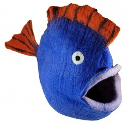Fish Cat Cave