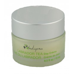 Labrador Day Cream made by Indigena