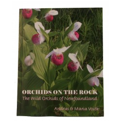 Orchids on the Rock