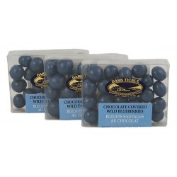 Chocolate Covered Wild Blueberries