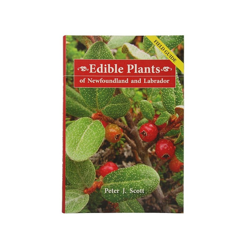 Edible Plants of Newfoundland and Labrador