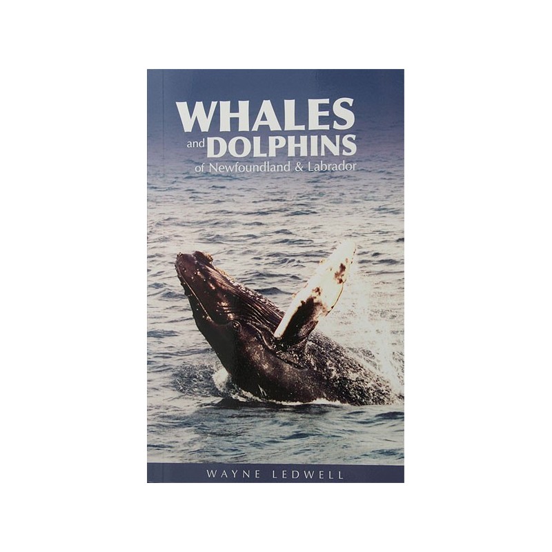 Whales and Dolphins of NL Whales and Dolphins of NL