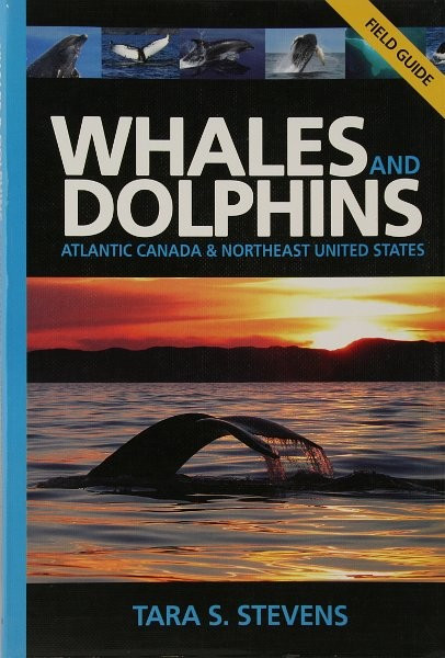 Whales And Dolphins Field Guide The Dark Tickle Company