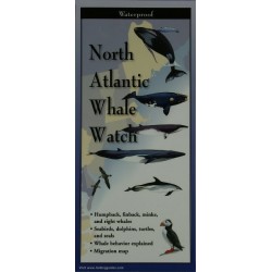 North Atlantic Whale Watch