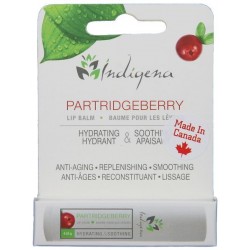 Partridgeberry Lip Balm
