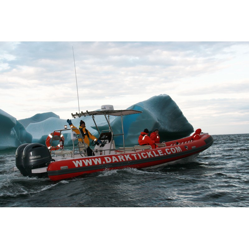 Icebergs, Whales, & Wild Berries! Icebergs, Whales, & Wild Berries!
