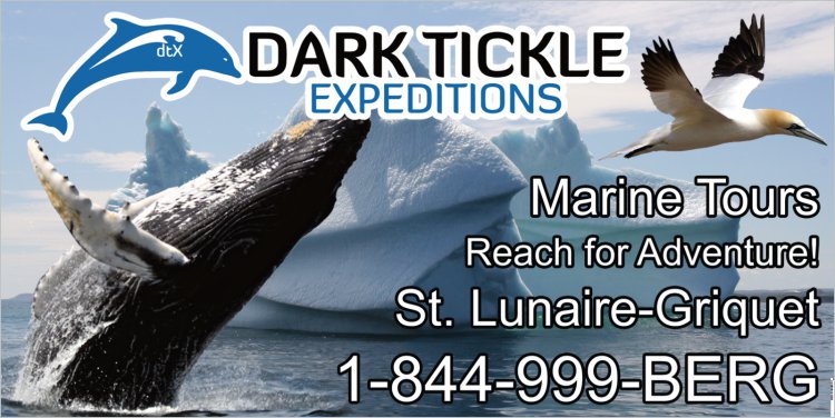 Dark Tickle Expeditions