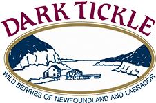 The Dark Tickle Company